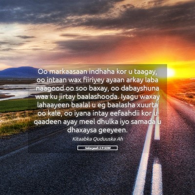 Picture 05 - Sekaryaah 5:9 SOM - Oo markaasaan indhaha kor u taagay, oo intaan wax - Bible Verse Picture
