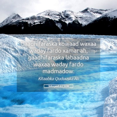 Picture 05 - Sekaryaah 6:2 SOM - Gaadhifaraska kowaad waxaa waday fardo xamar ah, - Bible Verse Picture