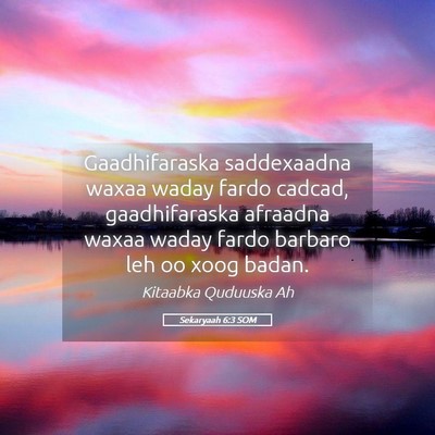 Picture 05 - Sekaryaah 6:3 SOM - Gaadhifaraska saddexaadna waxaa waday fardo - Bible Verse Picture