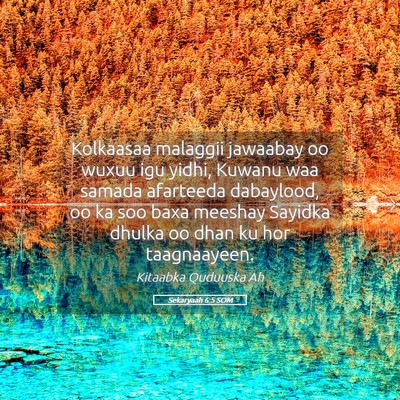 Picture 05 - Sekaryaah 6:5 SOM - Kolkaasaa malaggii jawaabay oo wuxuu igu yidhi, - Bible Verse Picture