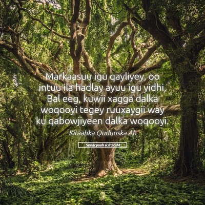 Picture 05 - Sekaryaah 6:8 SOM - Markaasuu igu qayliyey, oo intuu ila hadlay ayuu - Bible Verse Picture