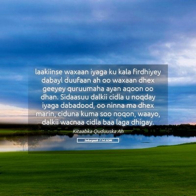 Picture 05 - Sekaryaah 7:14 SOM - laakiinse waxaan iyaga ku kala firdhiyey dabayl - Bible Verse Picture