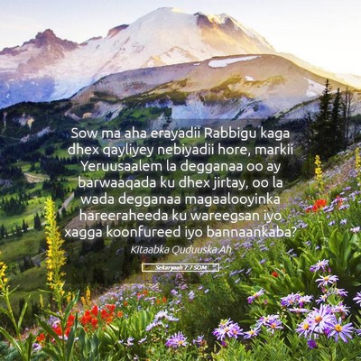 Picture 05 - Sekaryaah 7:7 SOM - Sow ma aha erayadii Rabbigu kaga dhex qayliyey - Bible Verse Picture
