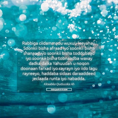 Picture 05 - Sekaryaah 8:19 SOM - Rabbiga ciidammadu wuxuu leeyahay, Soonkii bisha - Bible Verse Picture
