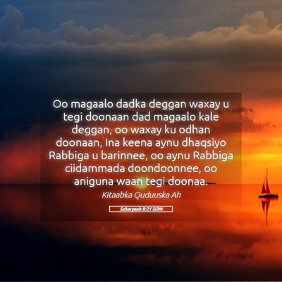 Picture 05 - Sekaryaah 8:21 SOM - Oo magaalo dadka deggan waxay u tegi doonaan dad - Bible Verse Picture