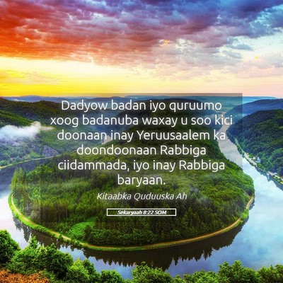 Picture 05 - Sekaryaah 8:22 SOM - Dadyow badan iyo quruumo xoog badanuba waxay u - Bible Verse Picture
