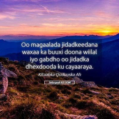 Picture 05 - Sekaryaah 8:5 SOM - Oo magaalada jidadkeedana waxaa ka buuxi doona - Bible Verse Picture