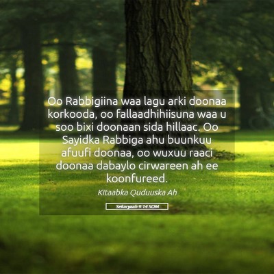 Picture 05 - Sekaryaah 9:14 SOM - Oo Rabbigiina waa lagu arki doonaa korkooda, oo - Bible Verse Picture