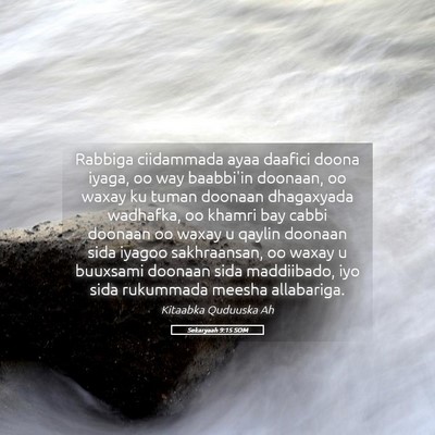 Picture 05 - Sekaryaah 9:15 SOM - Rabbiga ciidammada ayaa daafici doona iyaga, oo - Bible Verse Picture