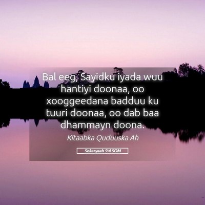 Picture 05 - Sekaryaah 9:4 SOM - Bal eeg, Sayidku iyada wuu hantiyi doonaa, oo - Bible Verse Picture