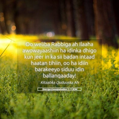 Picture 05 - Sharciga Kunoqoshadiisa 1:11 SOM - Oo weliba Rabbiga ah Ilaaha awowayaashiin ha - Bible Verse Picture