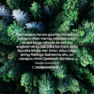 Picture 05 - Sharciga Kunoqoshadiisa 1:19 SOM - Markaasaynu ka soo guurnay Xoreeb oo waxaynu dhex - Bible Verse Picture