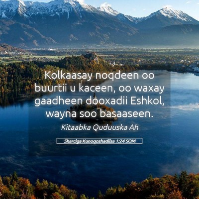 Picture 05 - Sharciga Kunoqoshadiisa 1:24 SOM - Kolkaasay noqdeen oo buurtii u kaceen, oo waxay - Bible Verse Picture