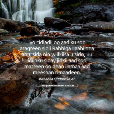 Picture 05 - Sharciga Kunoqoshadiisa 1:31 SOM - iyo cidladii oo aad ku soo aragteen sidii Rabbiga - Bible Verse Picture