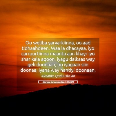 Picture 05 - Sharciga Kunoqoshadiisa 1:39 SOM - Oo weliba yaryarkiinna, oo aad tidhaahdeen, Waa - Bible Verse Picture