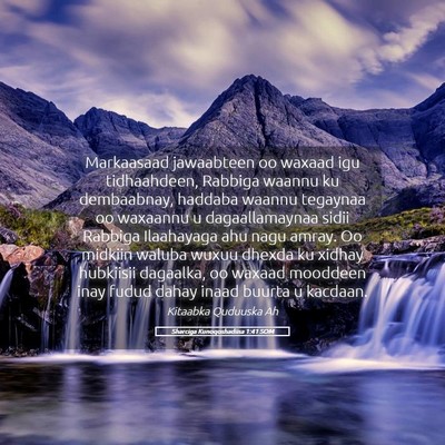 Picture 05 - Sharciga Kunoqoshadiisa 1:41 SOM - Markaasaad jawaabteen oo waxaad igu tidhaahdeen, - Bible Verse Picture
