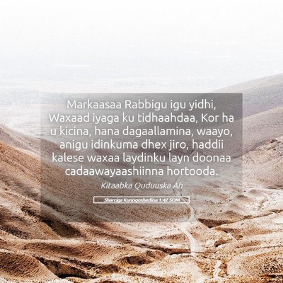 Picture 05 - Sharciga Kunoqoshadiisa 1:42 SOM - Markaasaa Rabbigu igu yidhi, Waxaad iyaga ku - Bible Verse Picture