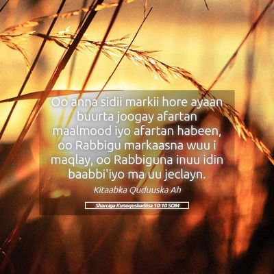 Picture 05 - Sharciga Kunoqoshadiisa 10:10 SOM - Oo anna sidii markii hore ayaan buurta joogay - Bible Verse Picture