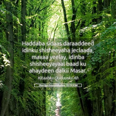 Picture 05 - Sharciga Kunoqoshadiisa 10:19 SOM - Haddaba sidaas daraaddeed idinku shisheeyaha - Bible Verse Picture