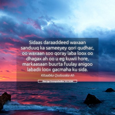 Picture 05 - Sharciga Kunoqoshadiisa 10:3 SOM - Sidaas daraaddeed waxaan sanduuq ka sameeyey qori - Bible Verse Picture