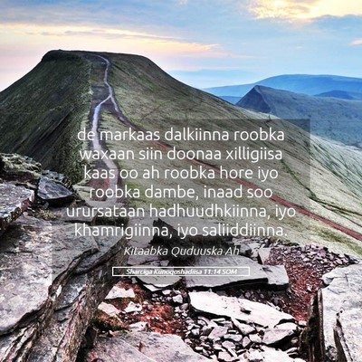 Picture 05 - Sharciga Kunoqoshadiisa 11:14 SOM - de markaas dalkiinna roobka waxaan siin doonaa - Bible Verse Picture