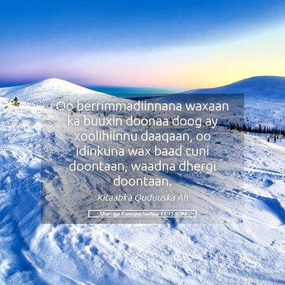 Picture 05 - Sharciga Kunoqoshadiisa 11:15 SOM - Oo berrimmadiinnana waxaan ka buuxin doonaa doog - Bible Verse Picture