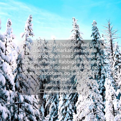 Picture 05 - Sharciga Kunoqoshadiisa 11:22 SOM - Maxaa yeelay, haddaad aad u xajisaan kulli - Bible Verse Picture