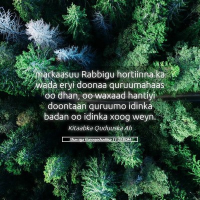 Picture 05 - Sharciga Kunoqoshadiisa 11:23 SOM - markaasuu Rabbigu hortiinna ka wada eryi doonaa - Bible Verse Picture