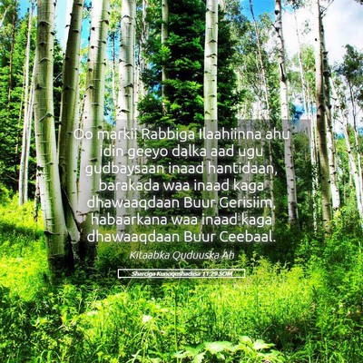 Picture 05 - Sharciga Kunoqoshadiisa 11:29 SOM - Oo markii Rabbiga Ilaahiinna ahu idin geeyo dalka - Bible Verse Picture