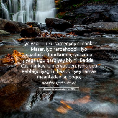 Picture 05 - Sharciga Kunoqoshadiisa 11:4 SOM - iyo wixii uu ku sameeyey ciidankii Masar, iyo - Bible Verse Picture