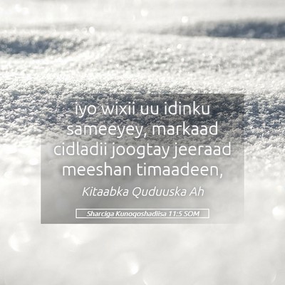 Picture 05 - Sharciga Kunoqoshadiisa 11:5 SOM - iyo wixii uu idinku sameeyey, markaad cidladii - Bible Verse Picture