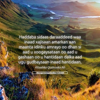 Picture 05 - Sharciga Kunoqoshadiisa 11:8 SOM - Haddaba sidaas daraaddeed waa inaad xajisaan - Bible Verse Picture