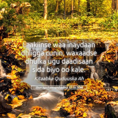 Picture 05 - Sharciga Kunoqoshadiisa 12:16 SOM - Laakiinse waa inaydaan dhiigga cunin, waxaadse - Bible Verse Picture
