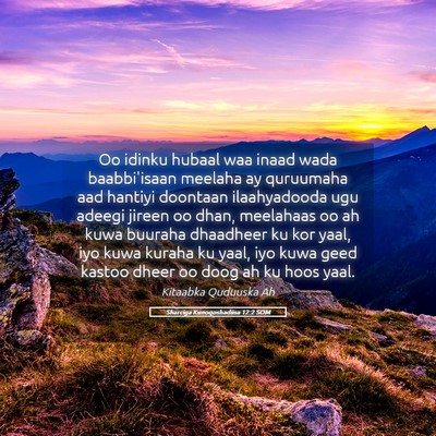 Picture 05 - Sharciga Kunoqoshadiisa 12:2 SOM - Oo idinku hubaal waa inaad wada baabbi'isaan - Bible Verse Picture