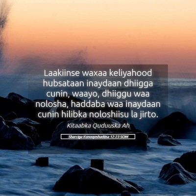 Picture 05 - Sharciga Kunoqoshadiisa 12:23 SOM - Laakiinse waxaa keliyahood hubsataan inaydaan - Bible Verse Picture