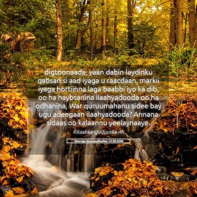 Picture 05 - Sharciga Kunoqoshadiisa 12:30 SOM - digtoonaada, yaan dabin laydinku qabsan si aad - Bible Verse Picture
