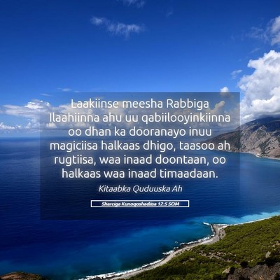 Picture 05 - Sharciga Kunoqoshadiisa 12:5 SOM - Laakiinse meesha Rabbiga Ilaahiinna ahu uu - Bible Verse Picture