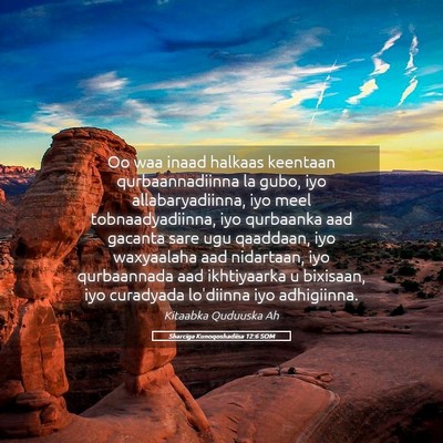 Picture 05 - Sharciga Kunoqoshadiisa 12:6 SOM - Oo waa inaad halkaas keentaan qurbaannadiinna la - Bible Verse Picture