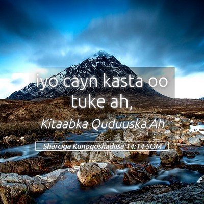 Picture 05 - Sharciga Kunoqoshadiisa 14:14 SOM - iyo cayn kasta oo tuke - Bible Verse Picture