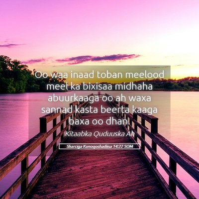 Picture 05 - Sharciga Kunoqoshadiisa 14:22 SOM - Oo waa inaad toban meelood meel ka bixisaa - Bible Verse Picture