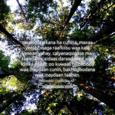Picture 05 - Sharciga Kunoqoshadiisa 14:8 SOM - oo doofaarkana ha cunina, maxaa yeelay, isaga - Bible Verse Picture