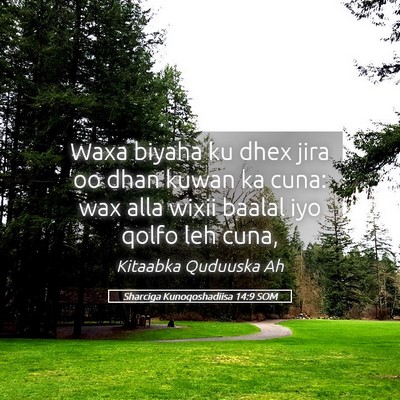 Picture 05 - Sharciga Kunoqoshadiisa 14:9 SOM - Waxa biyaha ku dhex jira oo dhan kuwan ka cuna: - Bible Verse Picture