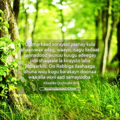 Picture 05 - Sharciga Kunoqoshadiisa 15:18 SOM - Oo markaad xoraysid yaanay kula ahaan wax adag, - Bible Verse Picture