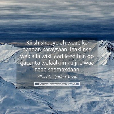 Picture 05 - Sharciga Kunoqoshadiisa 15:3 SOM - Kii shisheeye ah waad ka qaadan karaysaan, - Bible Verse Picture