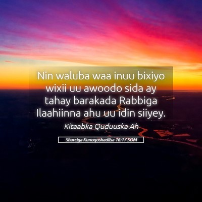 Picture 05 - Sharciga Kunoqoshadiisa 16:17 SOM - Nin waluba waa inuu bixiyo wixii uu awoodo sida - Bible Verse Picture