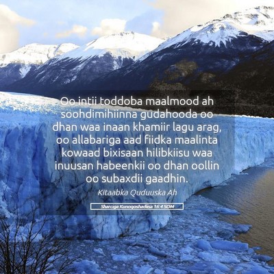 Picture 05 - Sharciga Kunoqoshadiisa 16:4 SOM - Oo intii toddoba maalmood ah soohdimihiinna - Bible Verse Picture