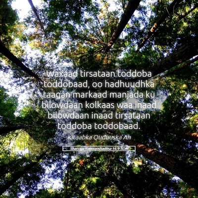 Picture 05 - Sharciga Kunoqoshadiisa 16:9 SOM - Waxaad tirsataan toddoba toddobaad, oo hadhuudhka - Bible Verse Picture