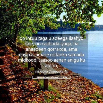Picture 05 - Sharciga Kunoqoshadiisa 17:3 SOM - oo intuu taga u adeega ilaahyo kale, oo caabuda - Bible Verse Picture