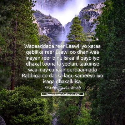 Picture 05 - Sharciga Kunoqoshadiisa 18:1 SOM - Wadaaddada reer Laawi iyo xataa qabiilka reer - Bible Verse Picture