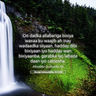 Picture 05 - Sharciga Kunoqoshadiisa 18:3 SOM - Oo dadka allabariga bixiya waxaa ku waajib ah - Bible Verse Picture